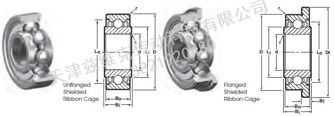 NHBBSSRI-418A0223RA7P25L01深溝球軸承圖紙